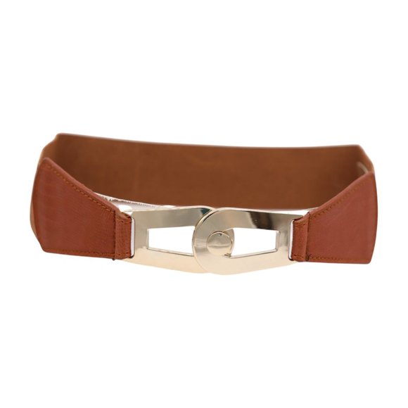 Women Brown Elastic Skinny Waistband Hip Waist Belt Gold Metal Buckle S M z046 - Picture 7 of 13